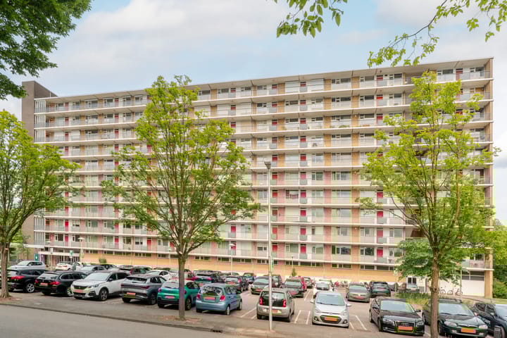 Photo 37 of Livingstonelaan 624