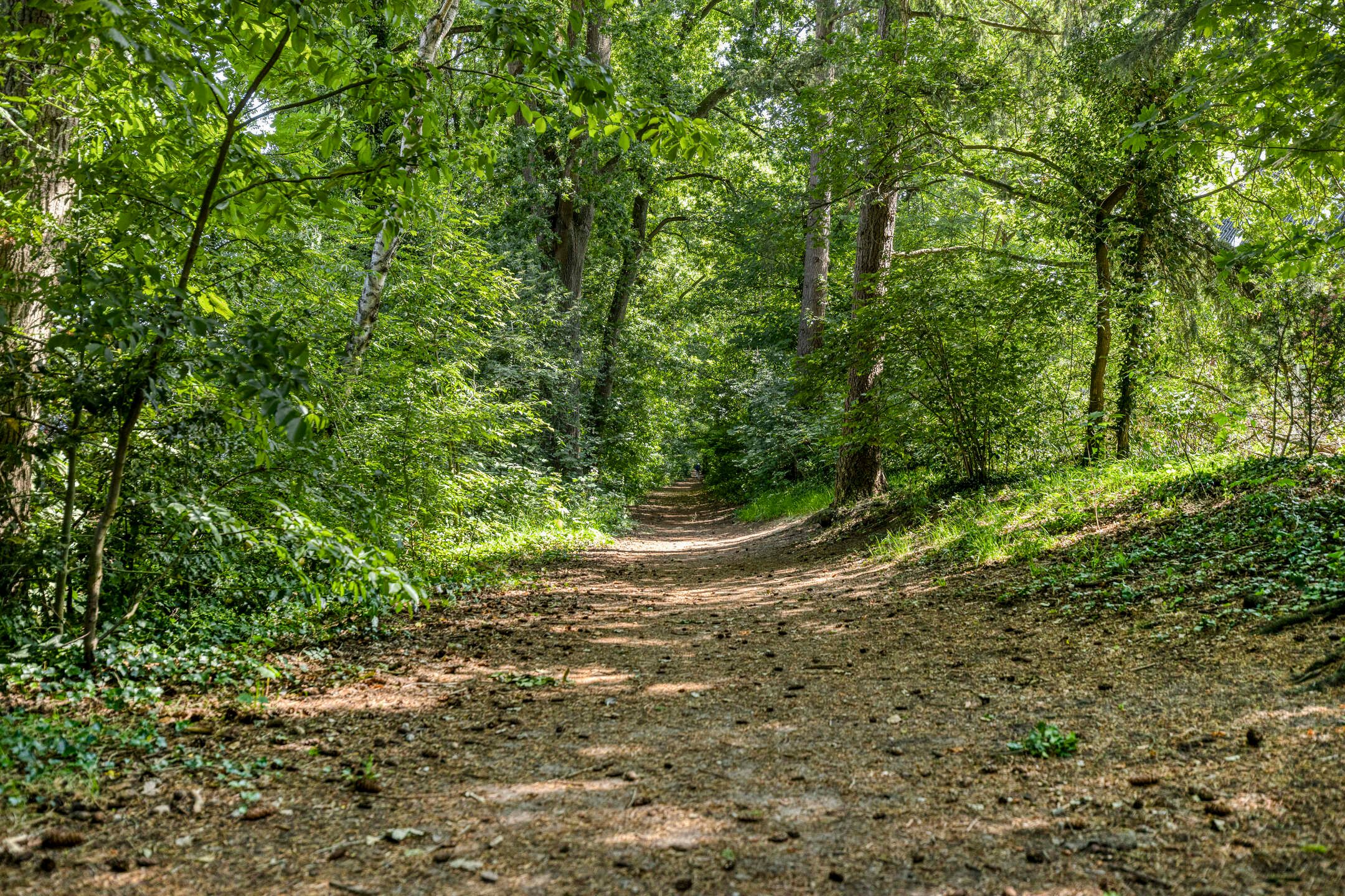 Foto 48 van Welgelegenlaan 64