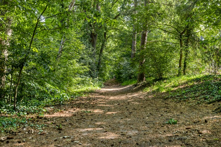 Foto 48 van Welgelegenlaan 64