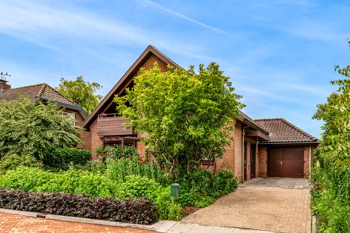 Foto 2 van Roerdomp 57