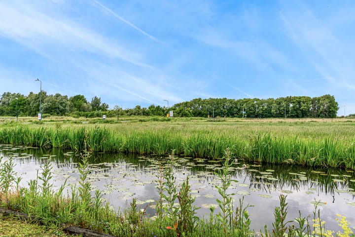 Foto 4 van Roerdomp 57