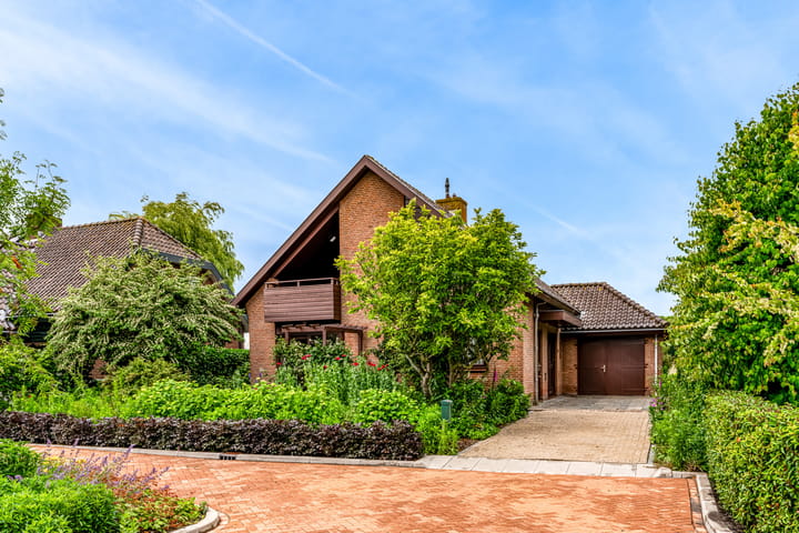 Foto 40 van Roerdomp 57