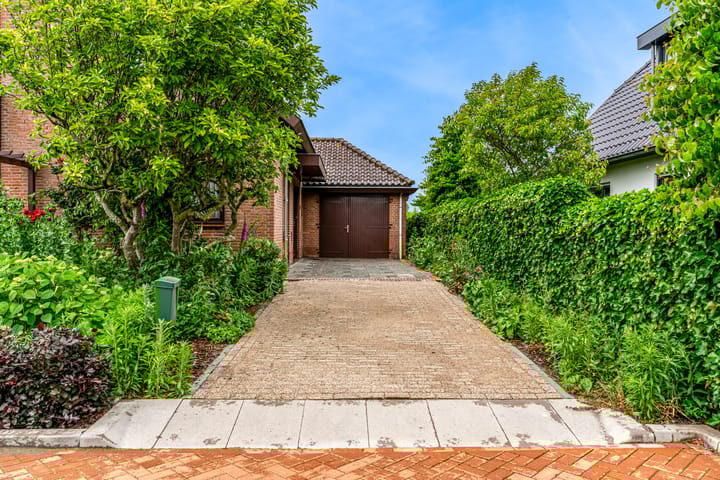 Foto 41 van Roerdomp 57