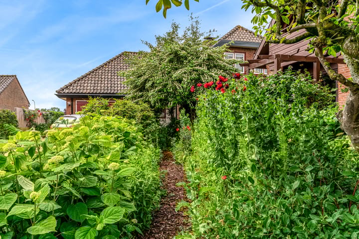 Foto 42 van Roerdomp 57