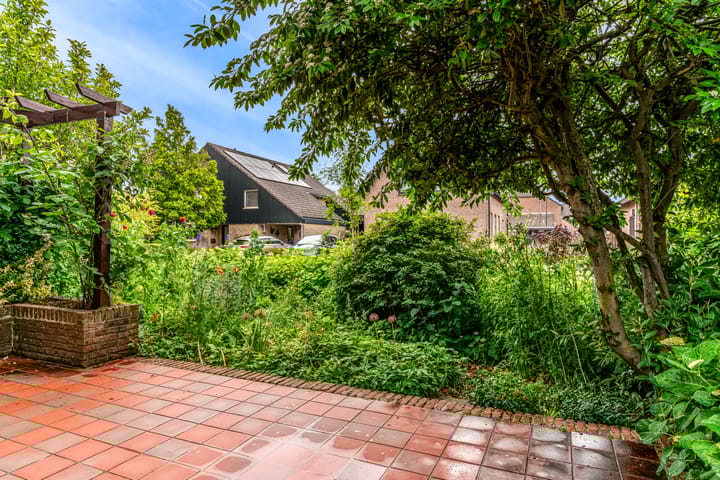 Foto 44 van Roerdomp 57