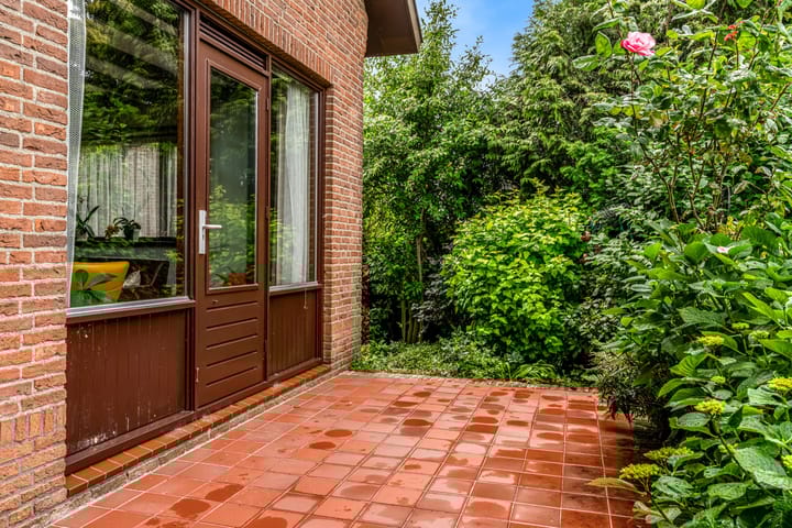 Foto 45 van Roerdomp 57