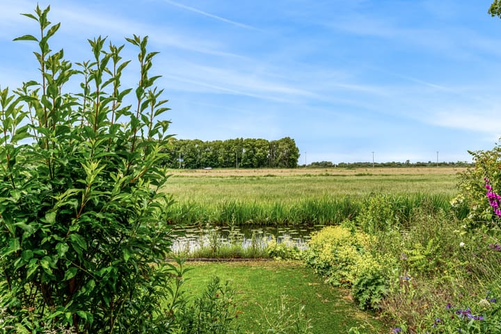 Foto 47 van Roerdomp 57