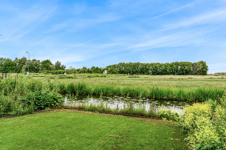 Foto 50 van Roerdomp 57