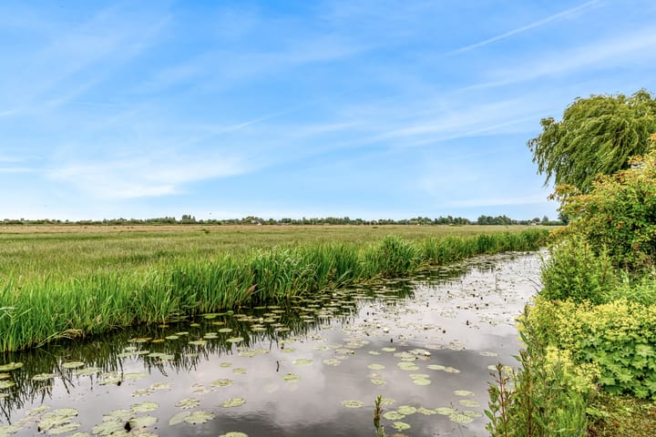 Foto 51 van Roerdomp 57