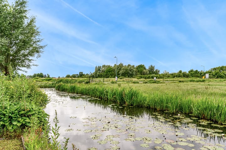 Foto 52 van Roerdomp 57