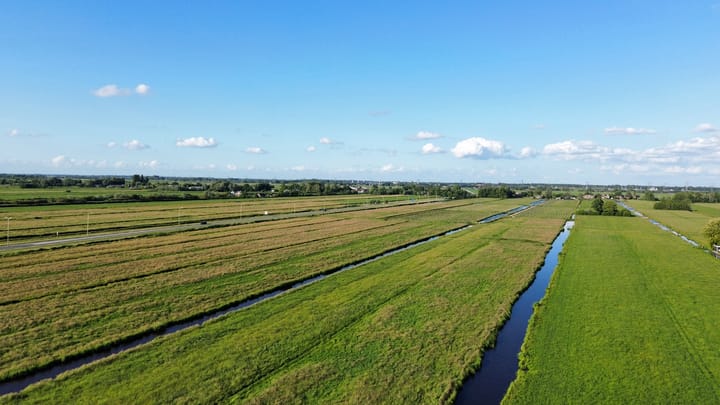 Foto 56 van Roerdomp 57