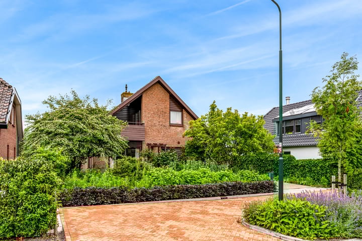 Foto 58 van Roerdomp 57