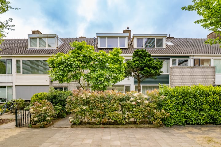 Foto 38 van Lamérislaan 41