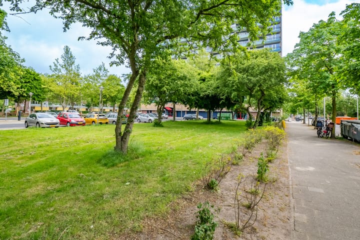 Foto 41 van Lamérislaan 41