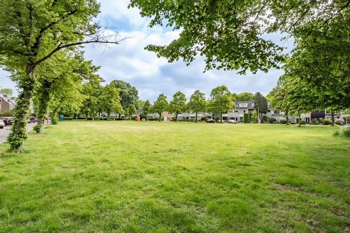 Foto 42 van Lamérislaan 41