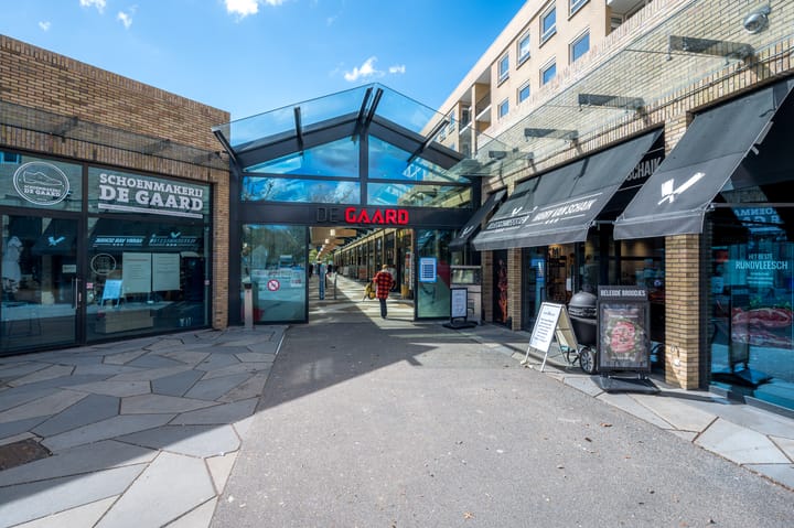 Foto 46 van Lamérislaan 41