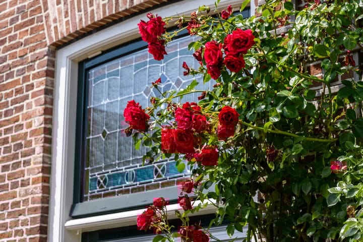 Foto 5 van Tjaerdawei 20