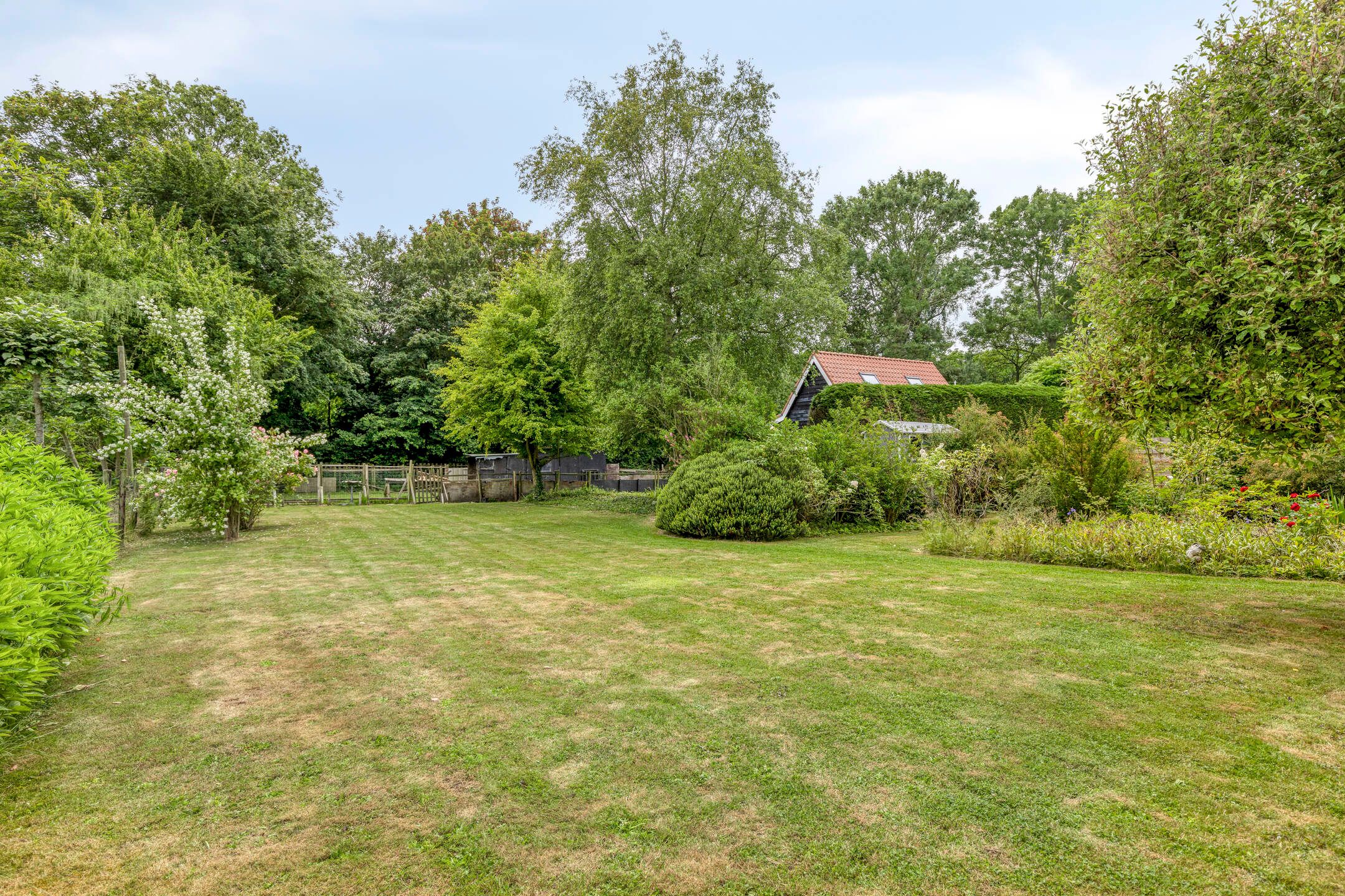 Foto 33 van Regenboogstraat 35