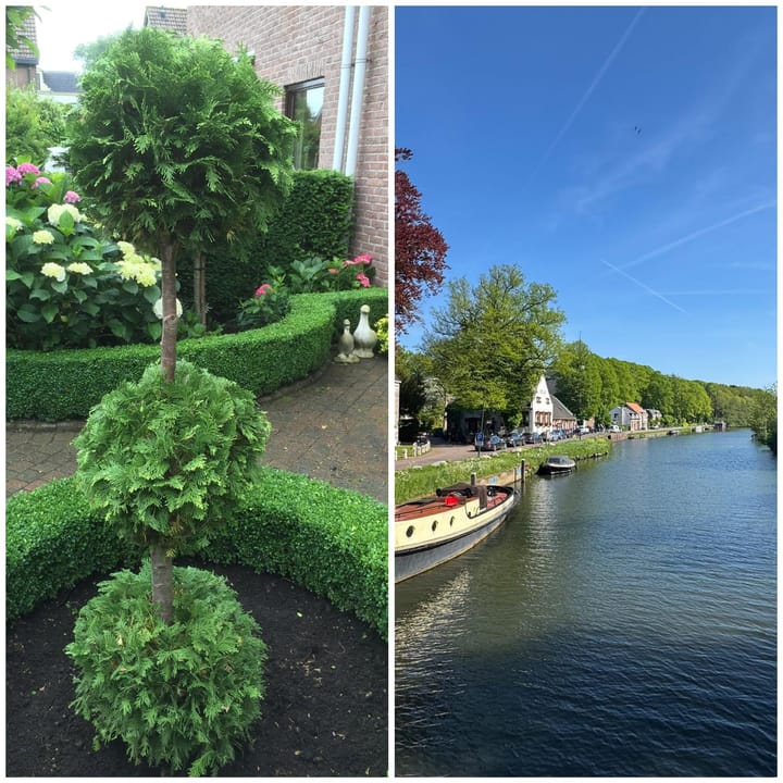 Photo 31 of Laan van Zuilenveld 24