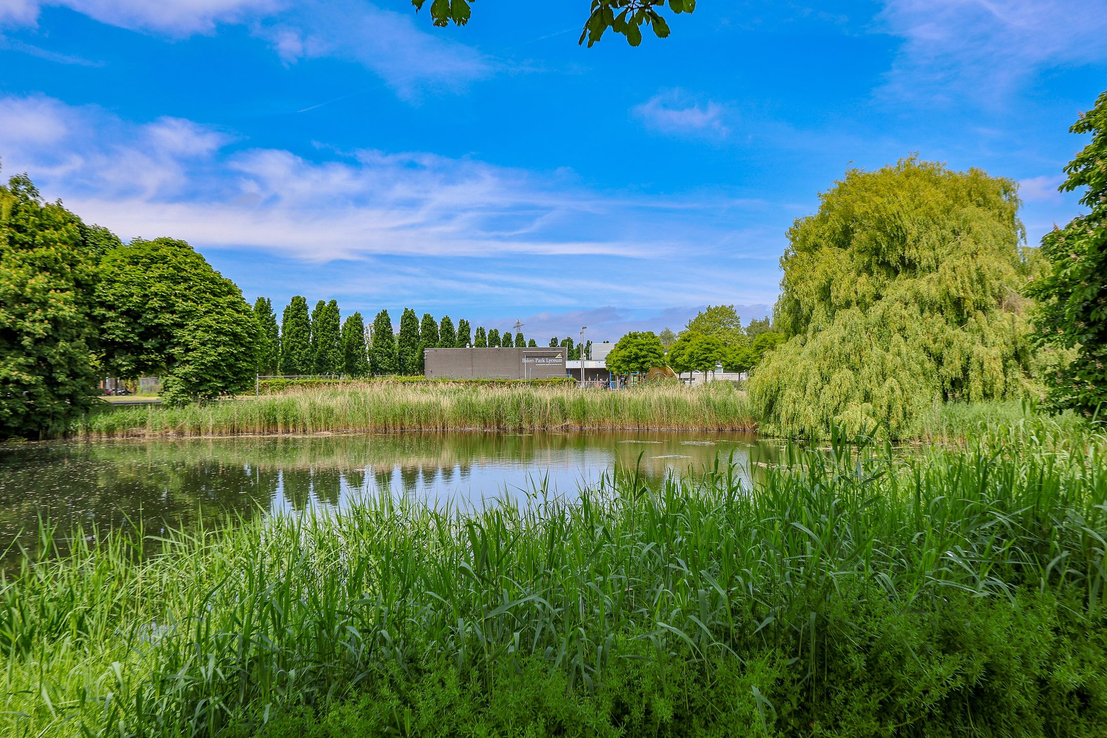 Photo 33 of Buñuellaan 49