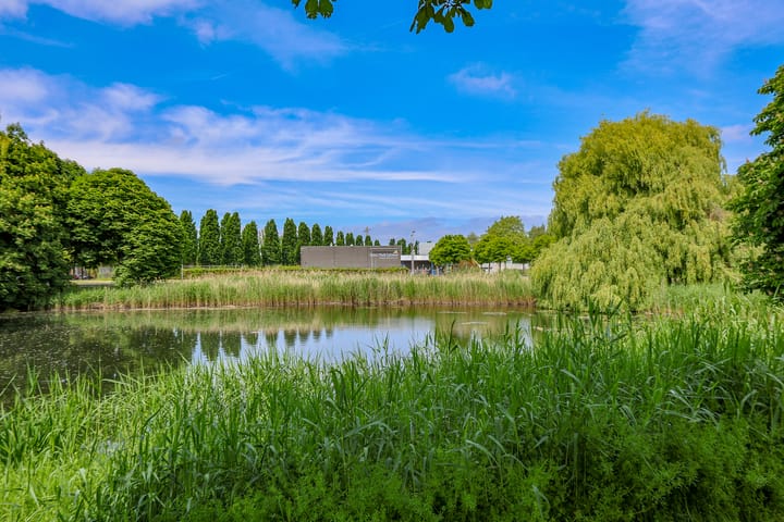 Foto 33 van Buñuellaan 49