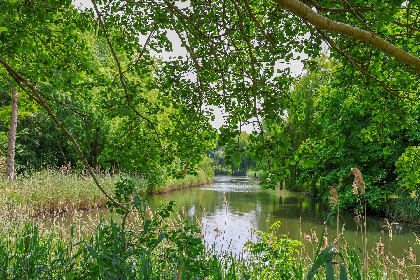 Photo 34 of Buñuellaan 49