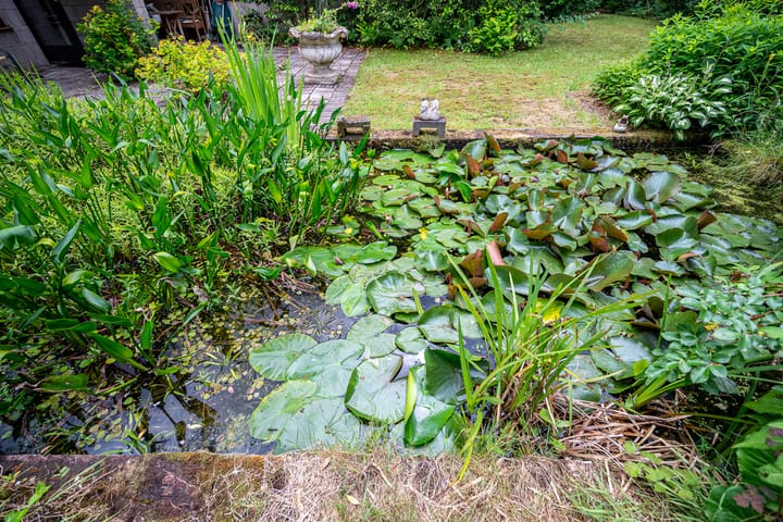 Foto 36 van Scharlakenlaan 20