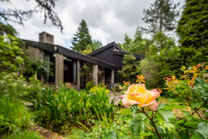 Foto 35 van Scharlakenlaan 20