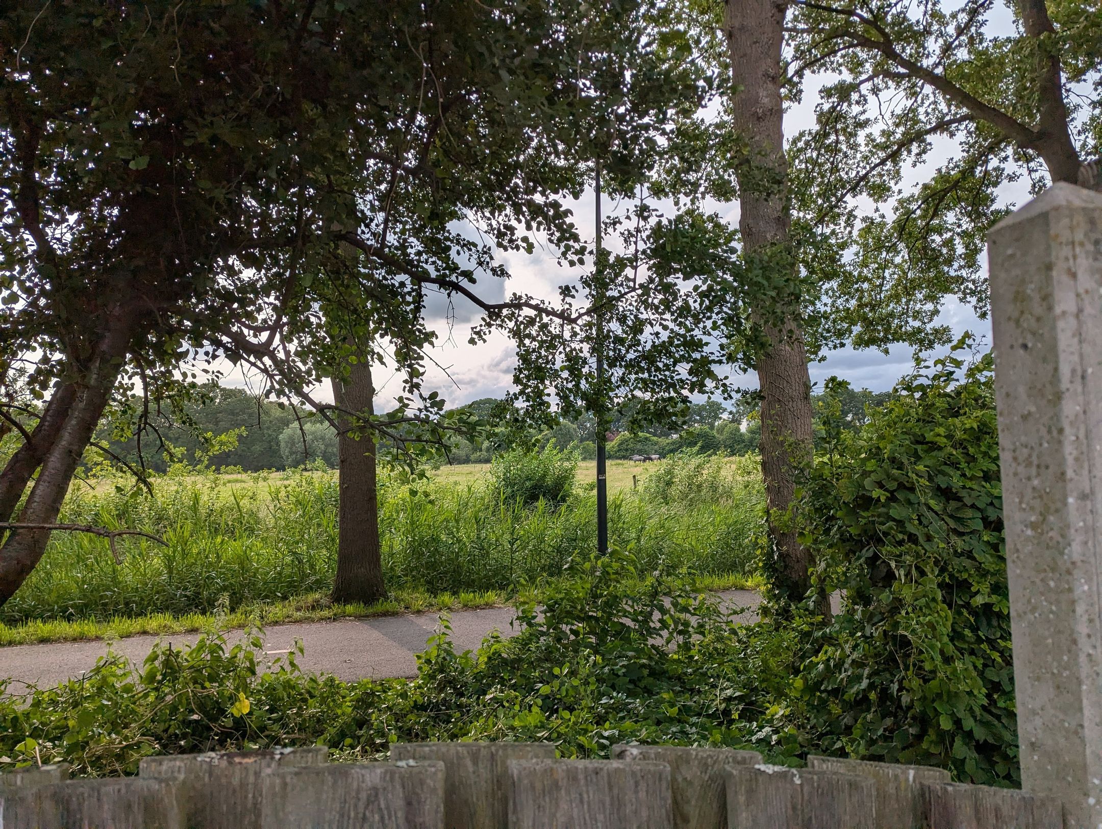 Foto 42 van Uitoord 33