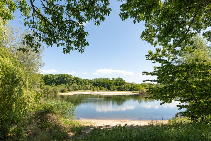 Foto 31 van Dolf van der Lindenstraat 6