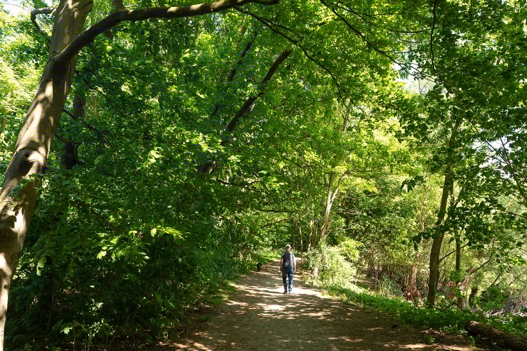 Foto 32 van Dolf van der Lindenstraat 6