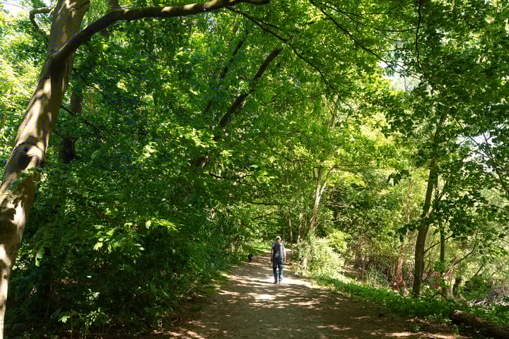 Foto 32 van Dolf van der Lindenstraat 6