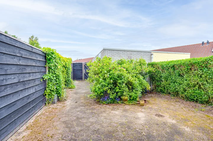 Foto 16 van Acacia 18