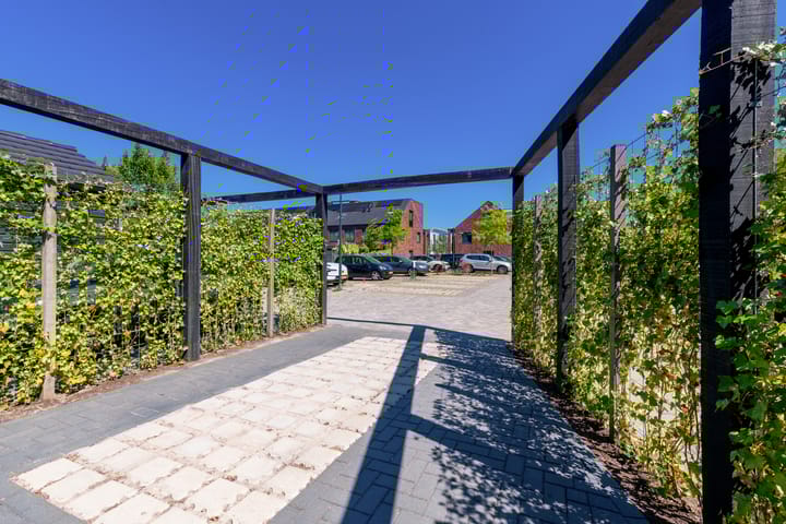 Foto 7 van Kardoes 19