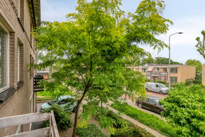 Foto 21 van Muziekplein 37