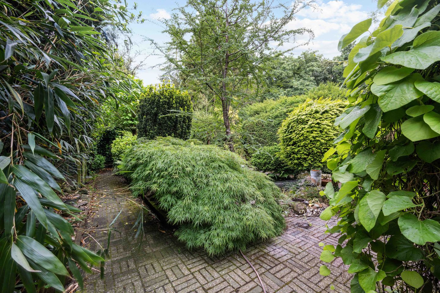 Foto 35 van Havixhorst 26