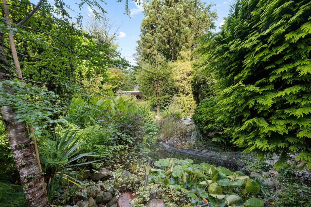 Foto 38 van Havixhorst 26