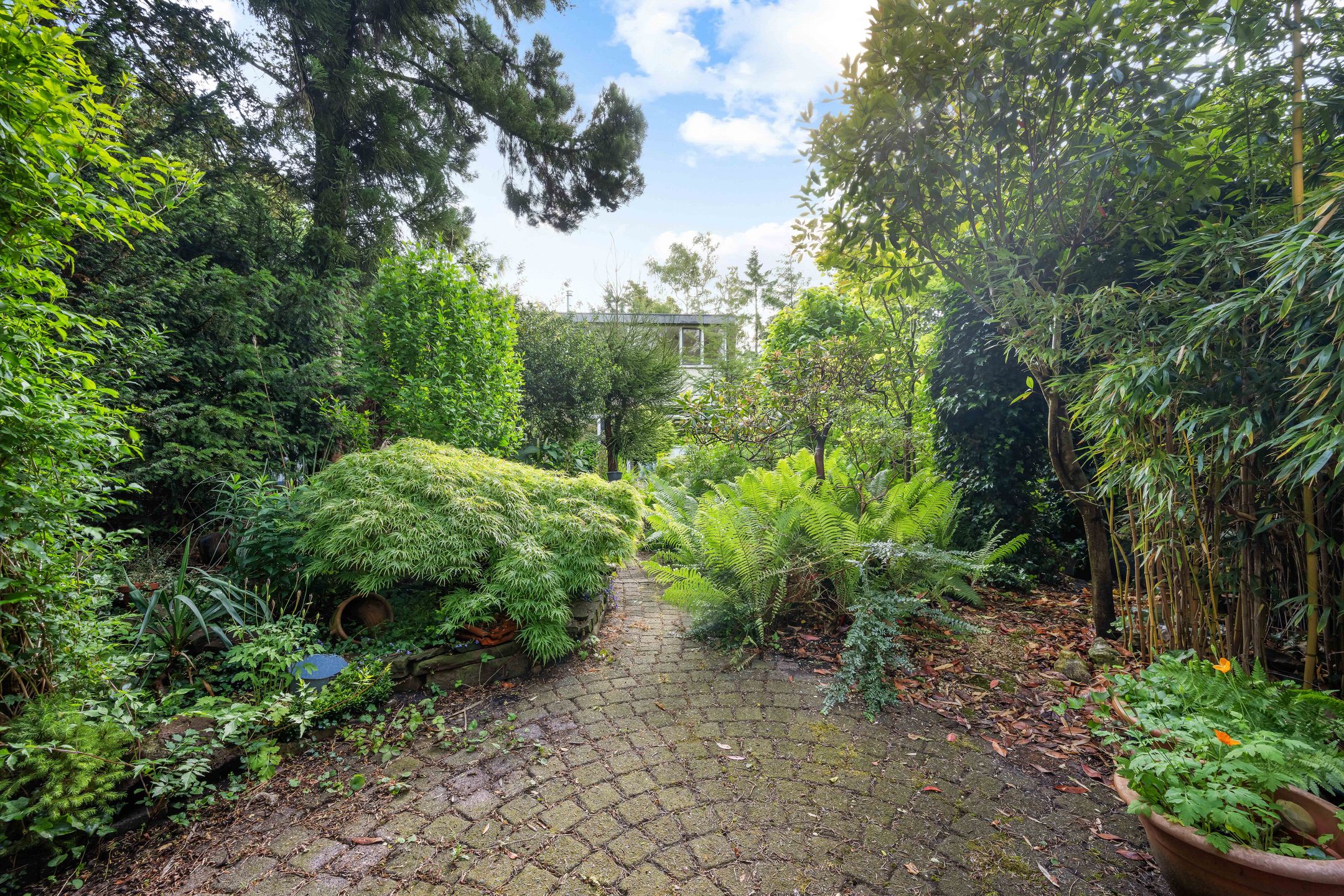 Foto 39 van Havixhorst 26