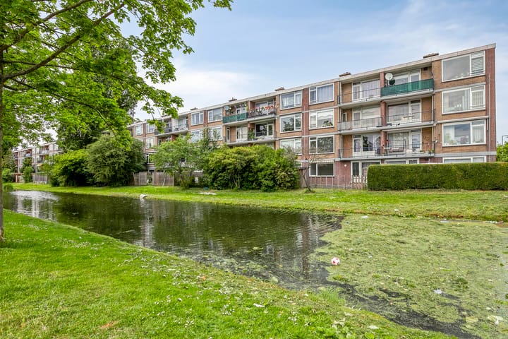 Foto 1 van Tholenstraat 24