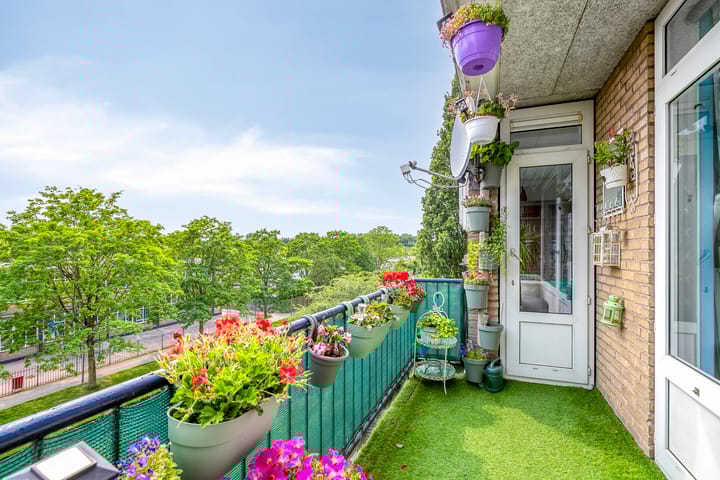 Foto 20 van Tholenstraat 24