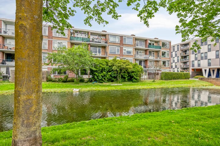 Foto 23 van Tholenstraat 24