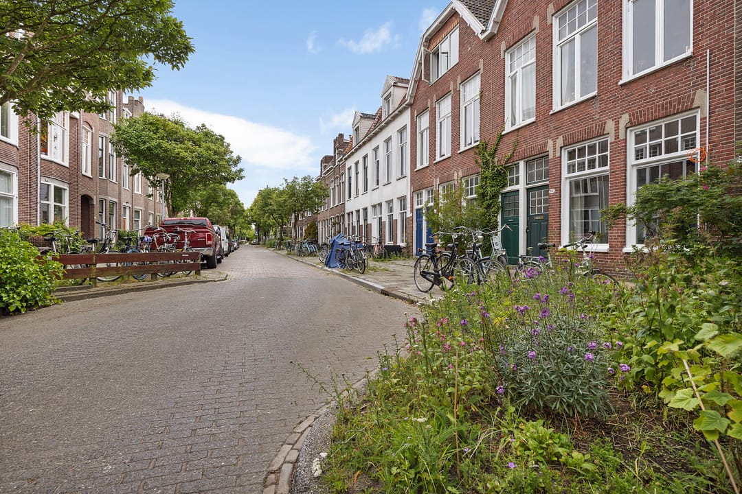 Foto 8 van Anna Paulownastraat 50