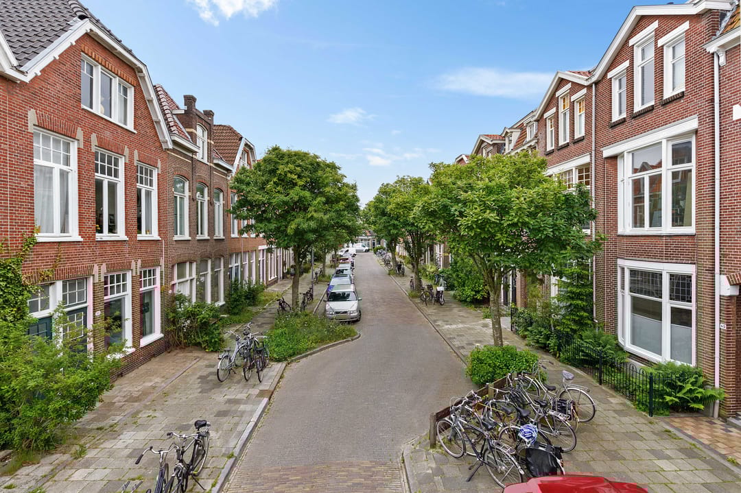 Foto 41 van Anna Paulownastraat 50