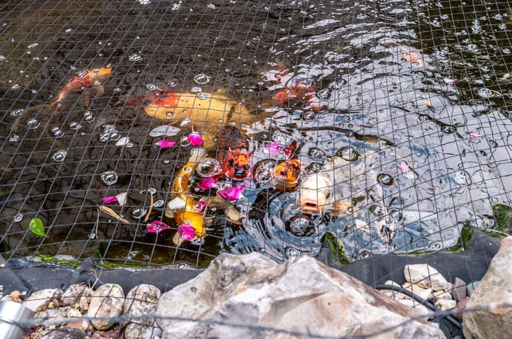 Foto 37 van Kamp 15 71