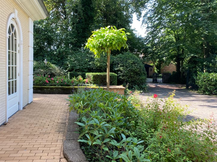 Foto 27 van Mosselenbuurt 20