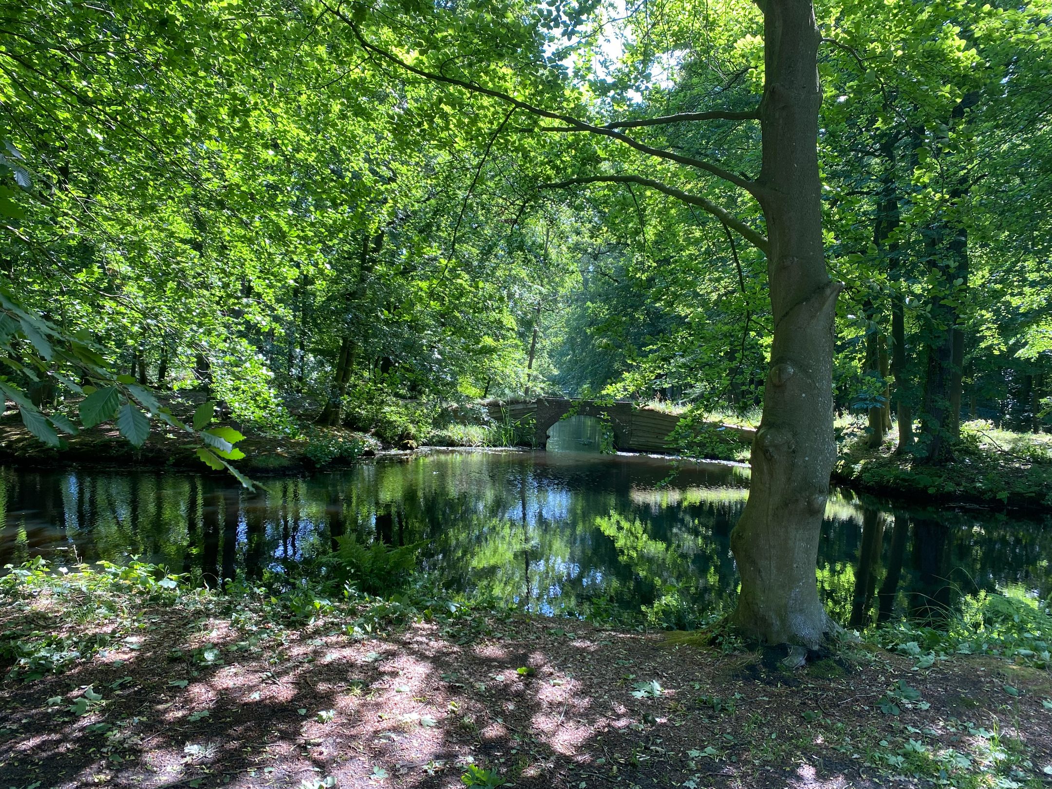 Photo 30 of Mosselenbuurt 20