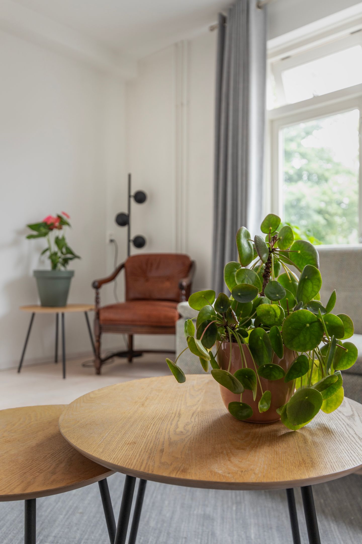 Photo 5 of Pelssingel 22