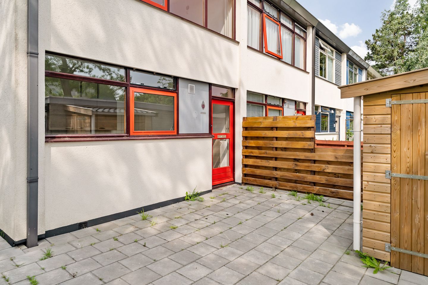 Foto 14 van Raaigras 141