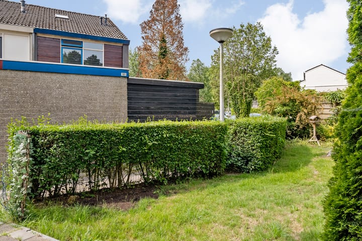 Foto 15 van Raaigras 141