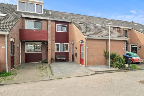 undefined main image